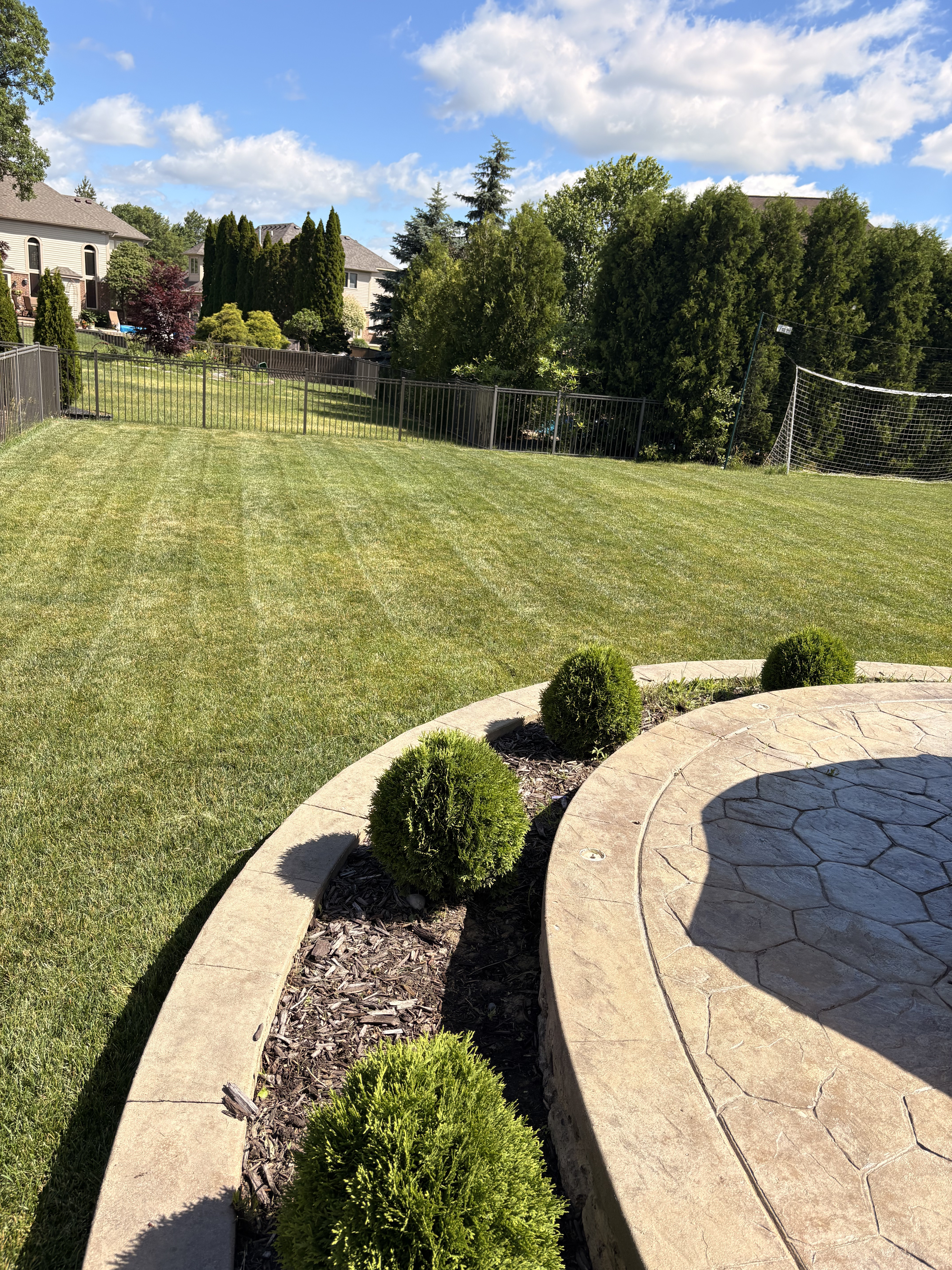 C&D Lawn Care