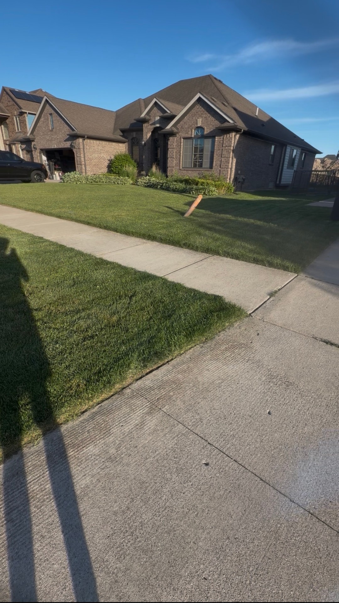Manicured front lawn