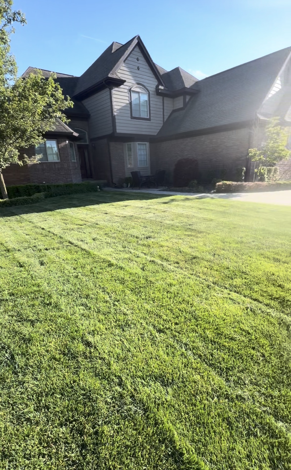 Fresh cut & clean edging